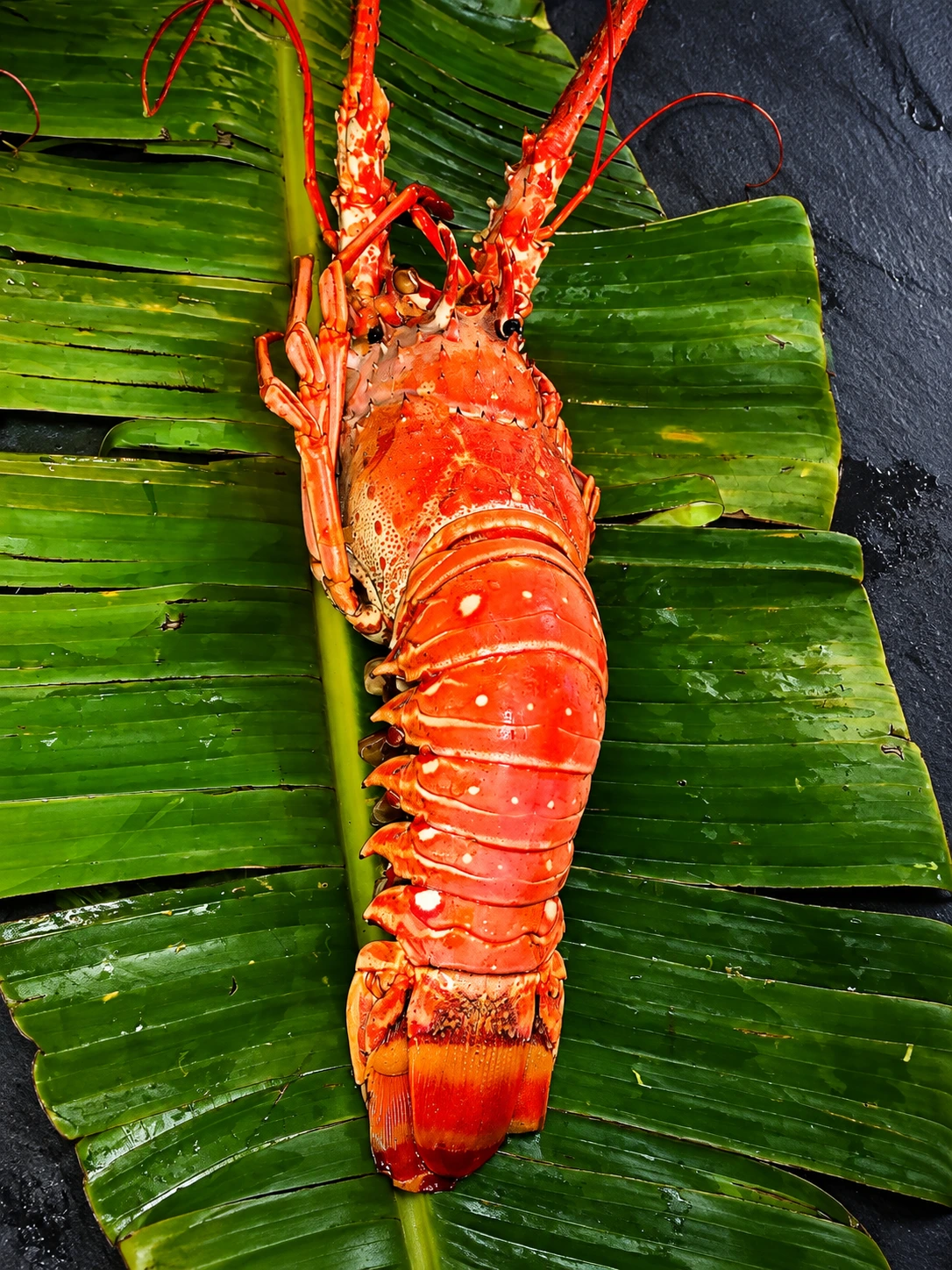 Saveurs créoles Image